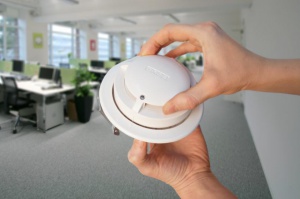 ������������ ������ �������� ������������