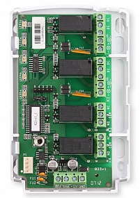 �����-823 ������ ����, 4 ������, �� ��� 2 � ���������