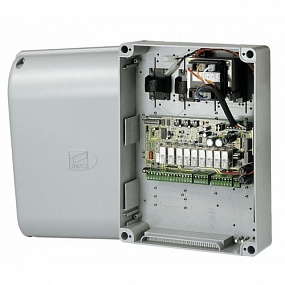 ���� ����������