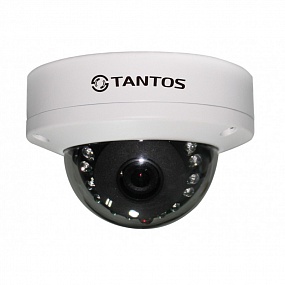 TSi-Dle1F IP ����������� ������� ��������� �������������� � �� ����������, ��������������, 1280�960