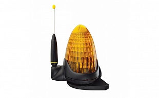 ���������� �����, 24� (�� ���������� ��������)