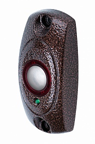 ������ "�����" �-21 �����