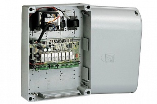 ���� ���������� � ����������� ������� �������