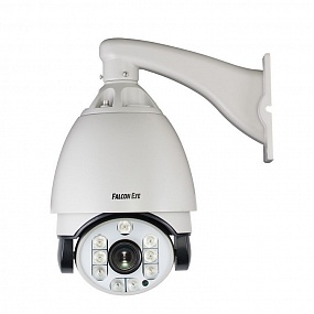 FE HSPD90/100M ���������� ���������������� ������� ����������� (�������) 1/3" SONY CCD, 700 ���