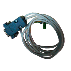 ������ �2000 � ����