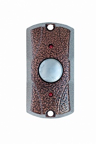 ������ ������ FE-100