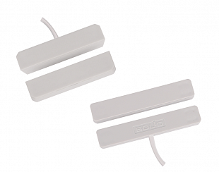 �2000-��� �����, ��������-���������� ����������